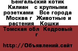 Бенгальский котик Килиан , с крупными розетками - Все города, Москва г. Животные и растения » Кошки   . Томская обл.,Кедровый г.